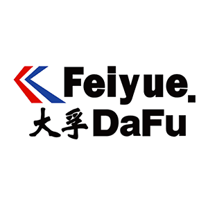大孚飞跃